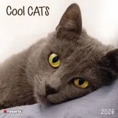 Cool Cats 2026 Wall Calendar