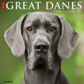 Just Great Danes 2025 Wall Calendar