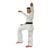 Karate Kid Daniel GO! Exclusive