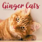 Ginger Cats 2026 Wall Calendar