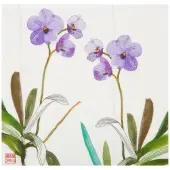 Exotic Orchids Lunch Napkins