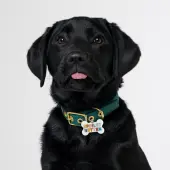 Spoiled Rotten Dog Collar Charm