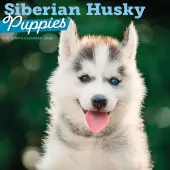 Siberian Husky Puppies 2026 Wall Calendar