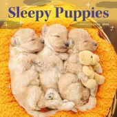 Pooped Puppies 2026 Wall Calendar