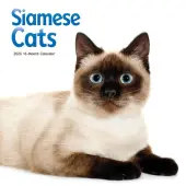 Siamese Cats 2026 Wall Calendar