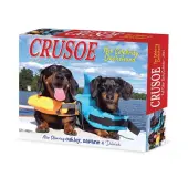 Crusoe the Celebrity Dachshund 2025 Desk Calendar