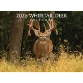 Whitetail Deer 2026 Wall Calendar