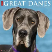 Just Great Danes 2026 Wall Calendar