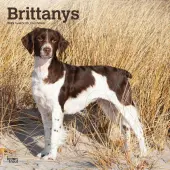 Brittanys 2025 Wall Calendar