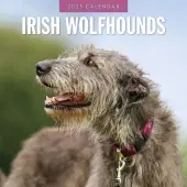 Irish Wolfhounds 2025 Wall Calendar