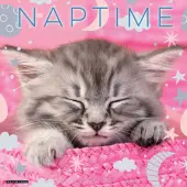 Naptime Cats Special Value 2026 Wall Calendar