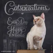 Catspirations 2025 Wall Calendar