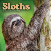Sloths 2026 Mini Wall Calendar