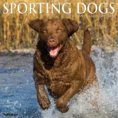 Sporting Dogs 2026 Wall Calendar