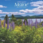 Maine Wild and Scenic 2025 Wall Calendar