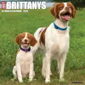 Just Brittanys 2026 Wall Calendar