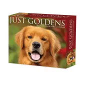 Just Goldens 2025 Desk Calendar