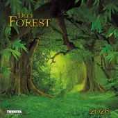 Deep Forest 2026 Wall Calendar