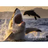 Sharks 2026 Wall Calendar