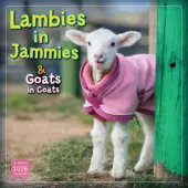 Lambies in Jammies 2026 Wall Calendar