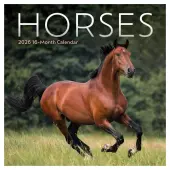 Horses  2026 Mini Wall Calendar