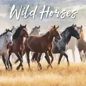 Wild Horses 2026 Wall Calendar