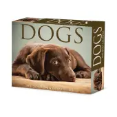 Dogs 2026 Desk Calendar