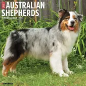 Just Australian Shepherds 2025 Wall Calendar