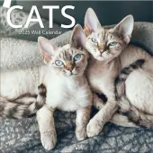 Cats Photo 2025 Wall Calendar