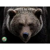 Bears 2025 Wall Calendar
