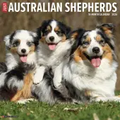 Australian Shepherds Just 2026 Wall Calendar
