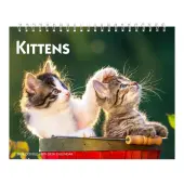 Kittens 2026 Double View Easel Desk Calendar