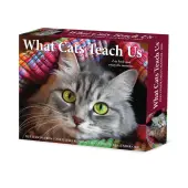 Cats What Cats Teach Us 2026 Desk Calendar