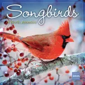 Songbirds 2026 Wall Calendar