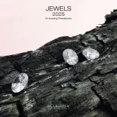 Jewels 2025 Wall Calendar
