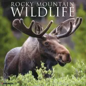 Rocky Mountain Wildlife 2026 Wall Calendar