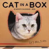 Cat In A 2026 Desk Calendar 2026 Wall Calendar