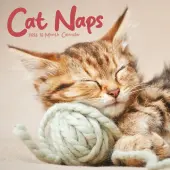 Cat Naps 2026 Wall Calendar