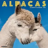 Alpacas 2026 Wall Calendar