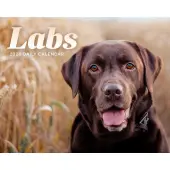 Labs 2026 Desk Calendar