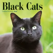 Black Cats 2026 Wall Calendar
