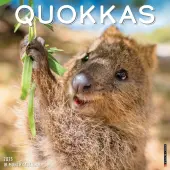 Quokkas 2025 Wall Calendar