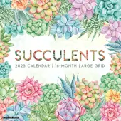Succulents 2025 Wall Calendar
