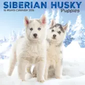 Siberian Husky Puppies 2026 Mini Wall Calendar