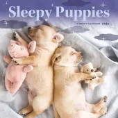 Sleepy Puppies 2026 Mini Wall Calendar