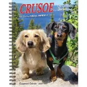 Crusoe The Celebrity Dachshund 2026 Engagement Planner