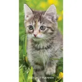 Cute As A Kitten 2 Year 2026 Pocket Planner