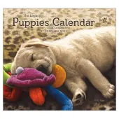Puppies by Sueellen Ross 2026 Wall Calendar