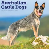 Australian Cattle Dogs 2026 Wall Calendar