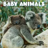 Baby Animals Photo 2026 Wall Calendar